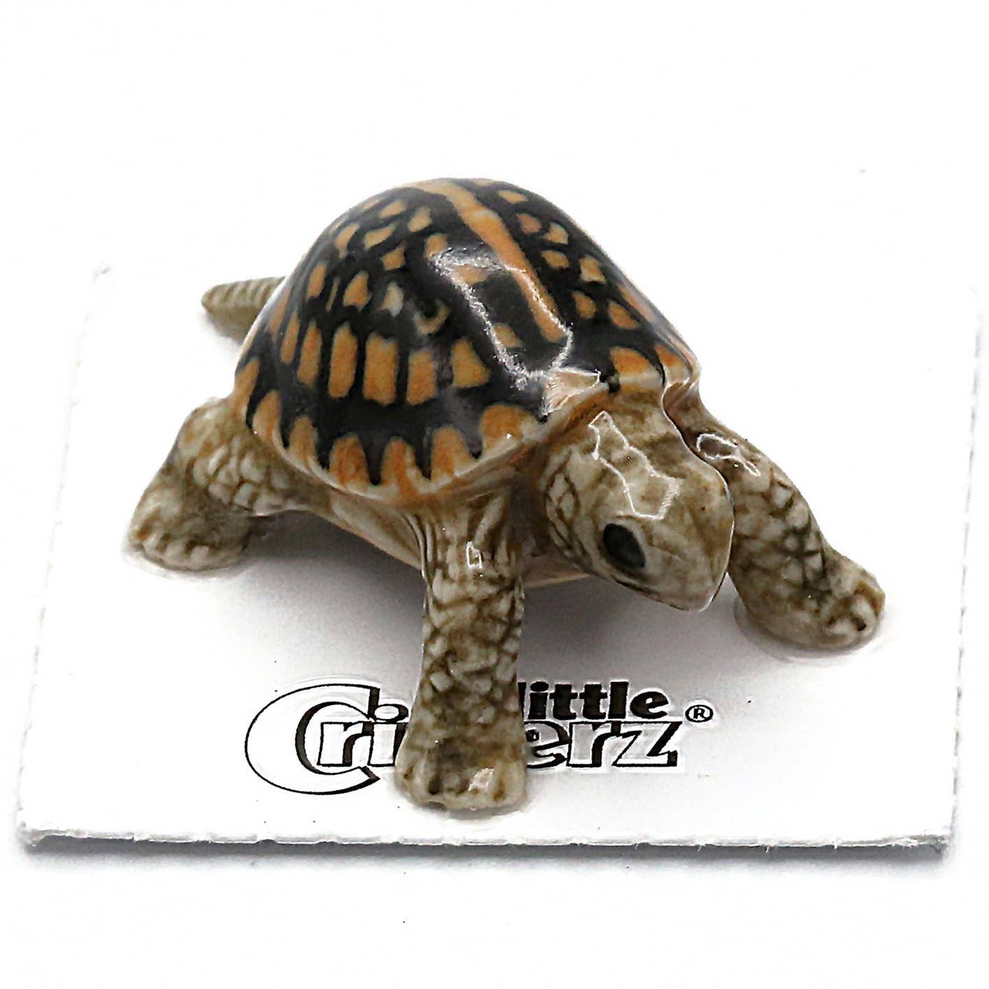 Dom Box Turtle Porcelain Miniature | The Nature of Reading Bookshop